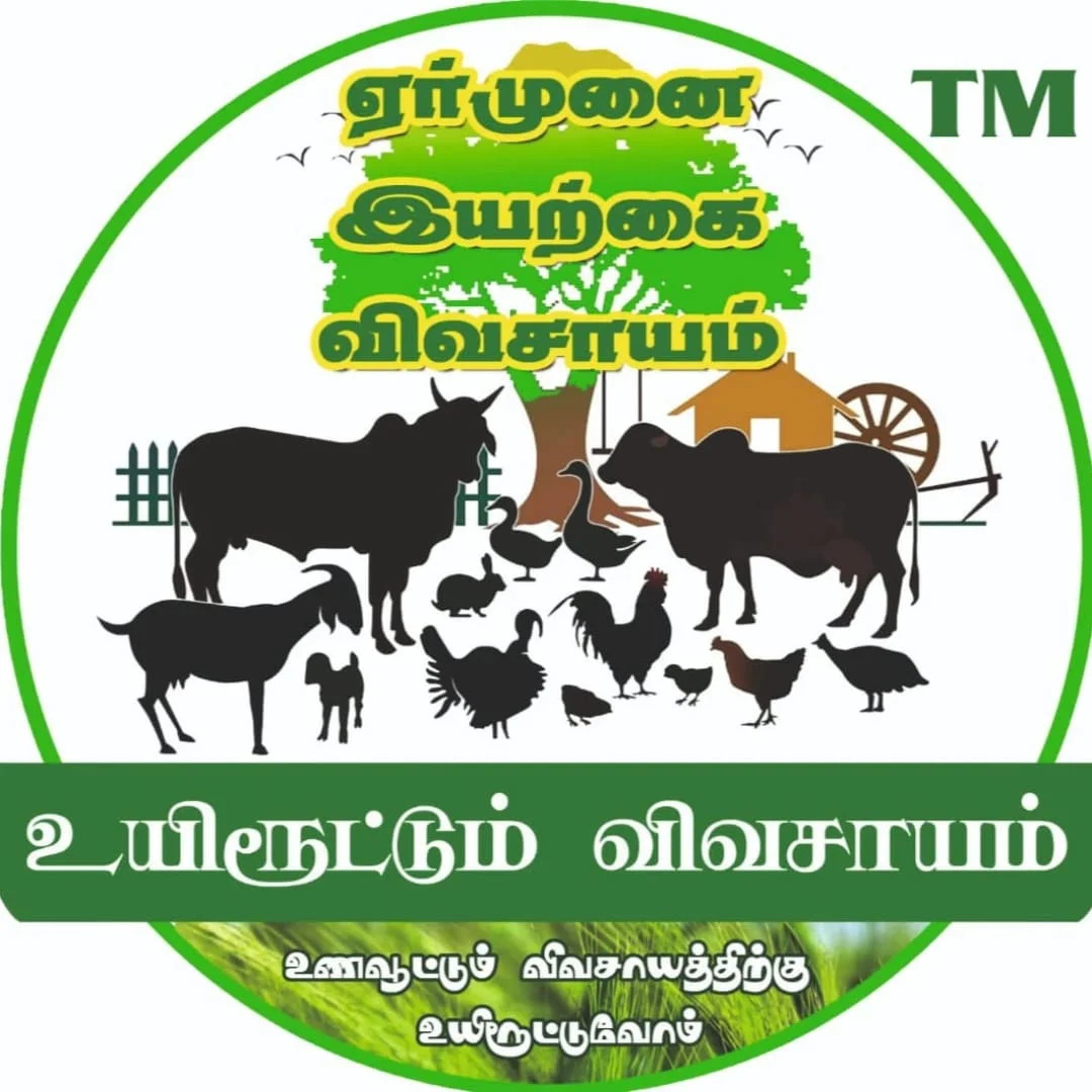 ERMUNAI ORGANIC FARM AND FOODS